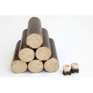 PREMIUM VERDICHT HOUT - 80 DOZEN MET 6 HOUTBLOKKEN - PALLET